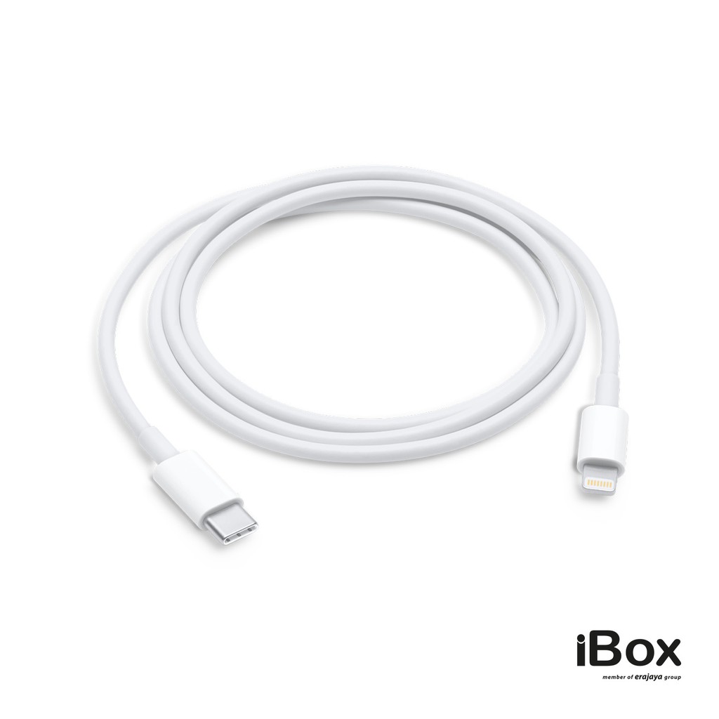 Apple USB C to Lightning Cable (1 m)