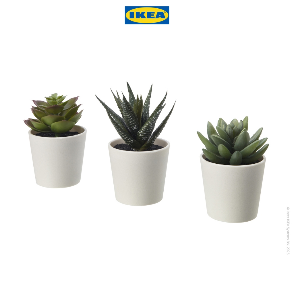 IKEA FEJKA Tanaman Hias Palsu Sukulen dengan Pot 6cm Isi 3pcs