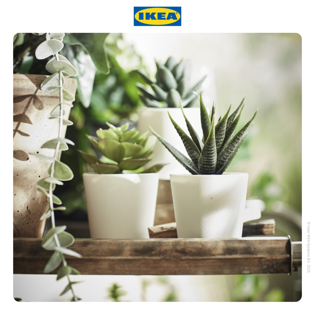 IKEA FEJKA Tanaman Hias Palsu Sukulen dengan Pot 6cm Isi 3pcs