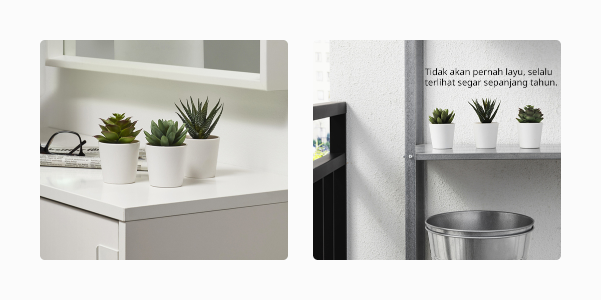 IKEA FEJKA Tanaman Hias Palsu Sukulen dengan Pot 6cm Isi 3pcs